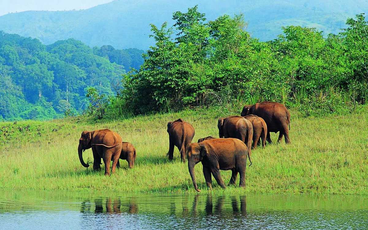 Thekkady